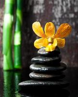 spa concept zen stones and orchid photo