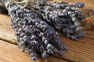 dry lavender bunch on wooden background
