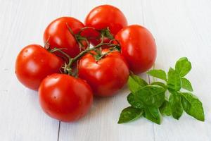 Branch of tomatoes and basil on a light neutral background