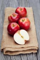 cosecha fresca de manzanas foto