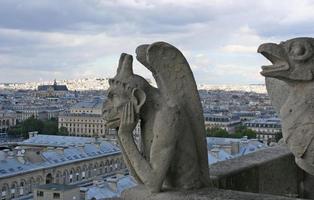 Gárgola, la catedral de Notre Dame en París, Francia.