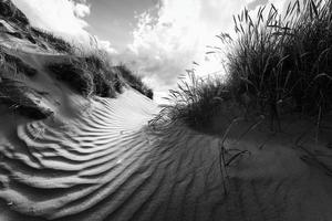 Day in the Dunes