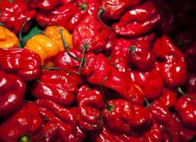 Close-up of red chillies in grocery store photo