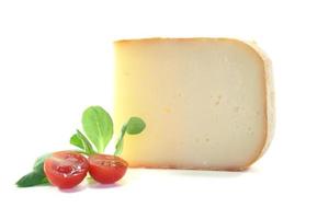 Piece of cheese with tomato