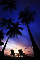 sillas de playa en perfecto amanecer tropical foto