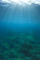 fondo azul bajo el agua foto