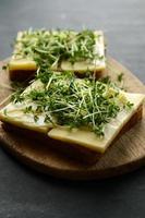 Tasty bread with cheese and cress garnish