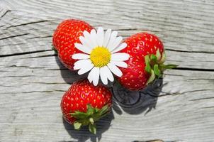 Summer objects - daisy and strawberries photo