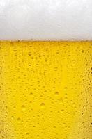Beer texture photo
