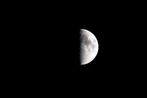 Crescent new moon (photo)