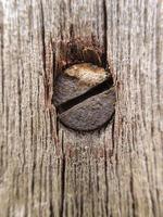 Old and vintage rust nail photo