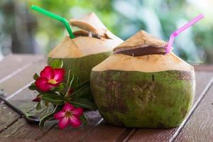 coconut water drink photo