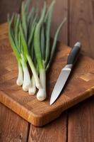 Knife, onion bunch and chopping board