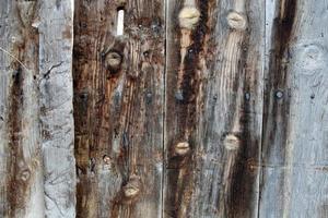 puerta de madera foto