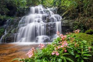 beautiful waterfall with pink snapdragon flower in foreground