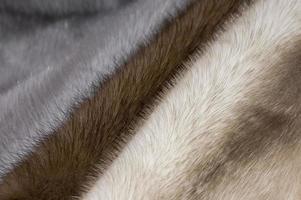 Three colours of mink fur