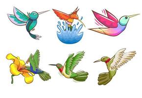 conjunto de colibrí de dibujos animados