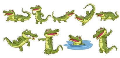 conjunto de dibujos animados de cocodrilo vector
