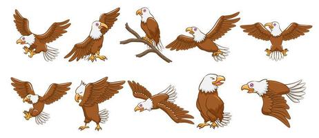 Eagle Cartoon Set  vector