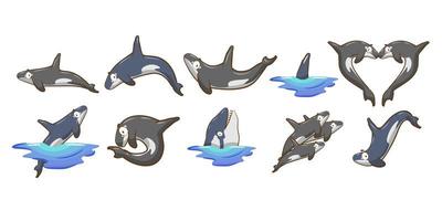 Cartoon Orca Set  vector