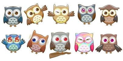 Cute Cartoon Owl Set  vector