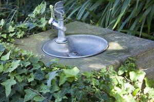 Drinking Fountain in Park photo