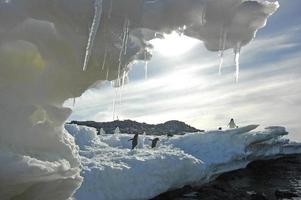 Escultura de hielo, Cape Denison, Commonwealth Bay, Antártida foto