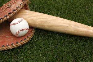 Baseball bat, ball and glove laying in the grass
