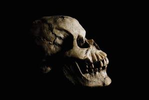 antiguo cráneo humano en sombra foto