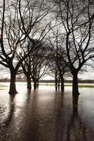 Flooded playing fields photo