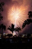 Fireworks Celebration at night photo