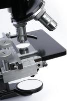 microscopio sección media