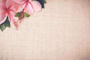 Pink Hibiscus flowers on linen, copy space background, selective photo
