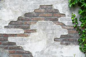 viejo muro de cemento de ladrillo con hiedra espacio vacío copia foto