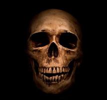 Human skull photo