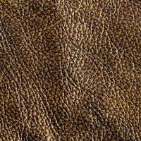 leather texture. photo