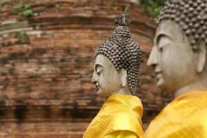 Buddha statues photo