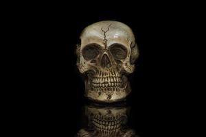 Human skull model isolated on black background photo