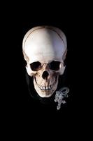 Human skull with silver cross