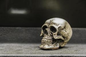 cráneo o esqueleto de la fotografía humana foto