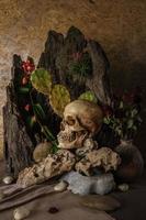 Bodegón con un cráneo humano con plantas del desierto, cactus, foto