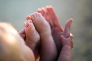 Little baby feet on mothers hands outdoors at backligh photo