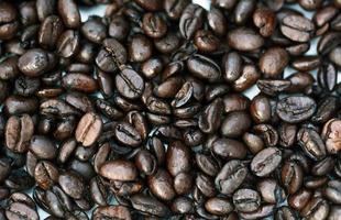 granos de café de cerca