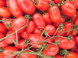 Close up of tomatos photo