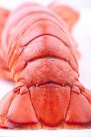 close up lobster tail photo