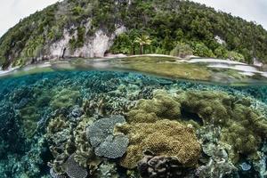 arrecife de coral cerca de la isla de piedra caliza
