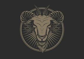 Baphomet Head Illustration vector