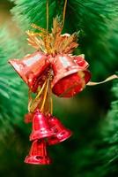 Christmas ornaments on Christmas tree photo