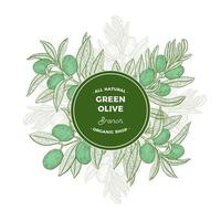Green Round Frame with Olive Tree Branches  vector