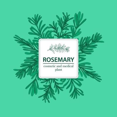 Medicinal Rosemary Background